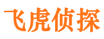 金口河市调查公司